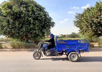 سهير- بائعة الخضار على التروسيكل