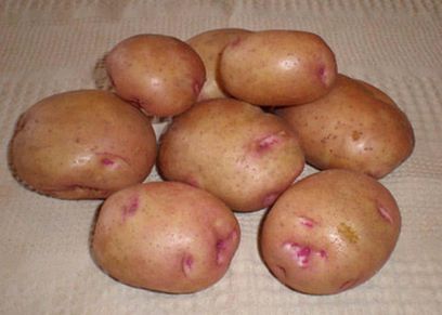 علامات بنفسجي على البطاطس