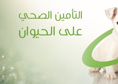 صورة الإعلان