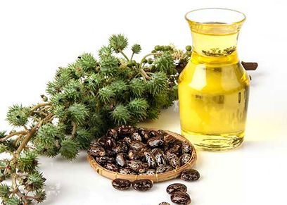 فوائد زيت الخروع
