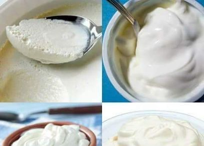 طريقة عمل الزبادي في ماكينة الزبادي
