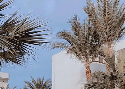 نور متفوقة دراسيا ولديها مشروع لصناعة المشغولات اليدوية