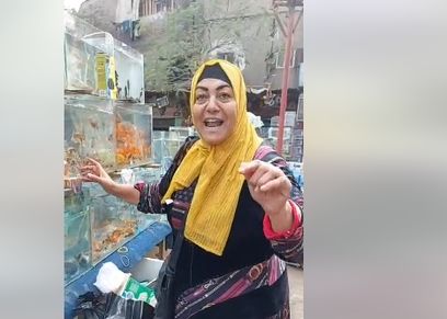 المعلمة حنان كينج فيش