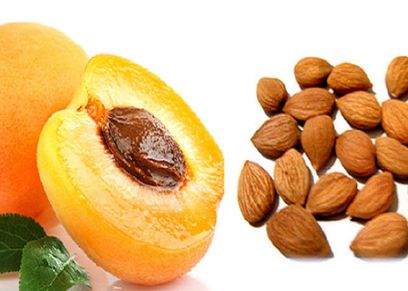 بذور المشمش