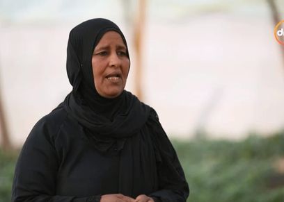 الست أم إبراهيم
