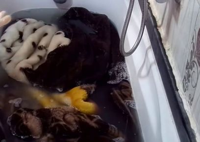  تنظيف البطاطين