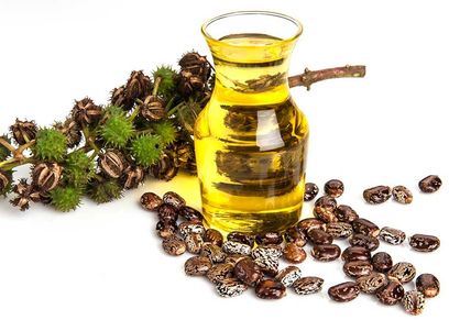 زيت الخروع