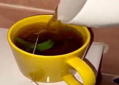 جانب من مقلب المدون السعودي هاني حلواني لزوجته