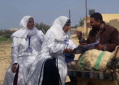 شمال سيناء