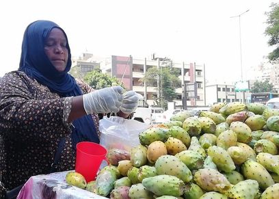 صعيدية تجوب الشوارع بعربة تين شوكي