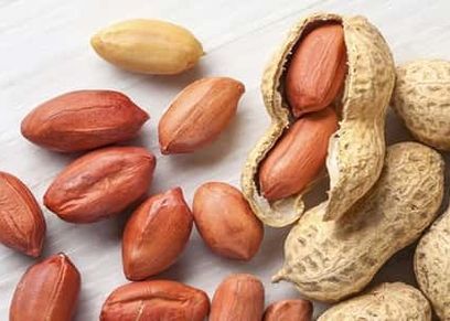 تناول السوداني يحمى الذاكرة