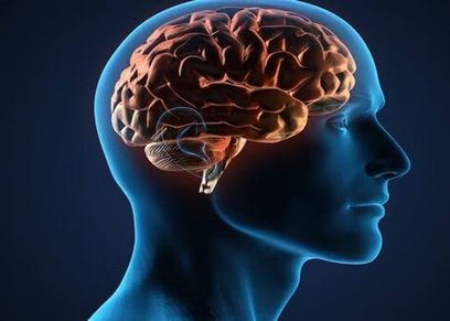 نصائح للحفاظ على صحة الدماغ