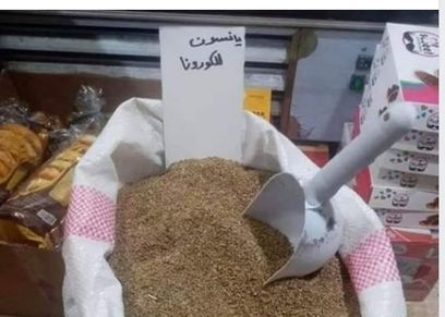 يانسون 