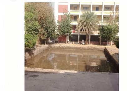 أولياء أمور مدرسة جواد على حسنى الرسمية يستغيثون: