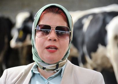 شيماء أبو يوسف تؤسس مزرعة لتسمين العجول
