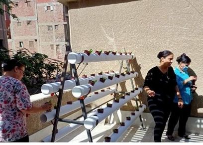 مبادرة زراعة الأسطح
