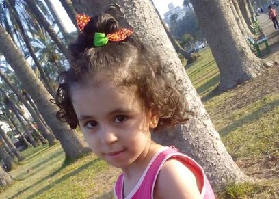 روضة محمد