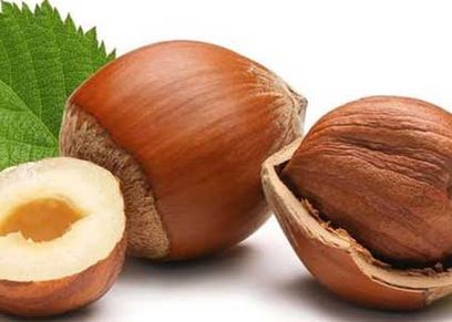 فوائد البندق