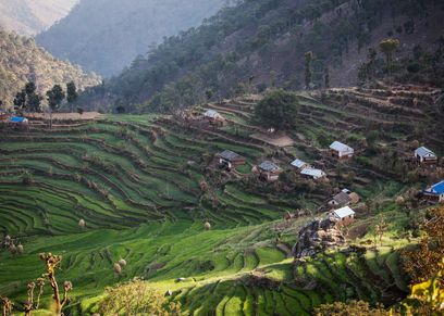 لعنة تشوبادي تطارد النساء