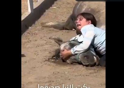 الطفلة العراقية تبكي على فقدان الخيل