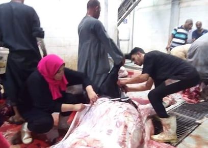 مروة اول فتاة صعيدية تعمل فى الحزارة "لما تبقى عيلتك بتدعمك تحقق حلمك"