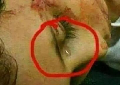 الصورة المتداولة