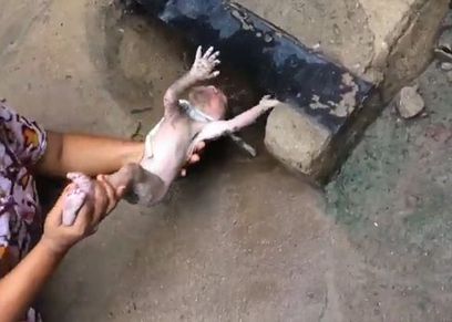 طفل يلقى في بالوعة والحبل السري ملتف حول رقبته
