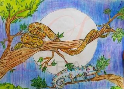رسومات التوأم