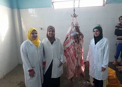 الطبيبات الثلاثة اصحاب مشروع الجزارة