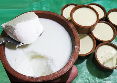 طريقة عمل الزبادي البيتي