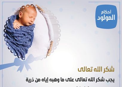 أحكام المولود