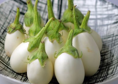 باذنجان أبيض