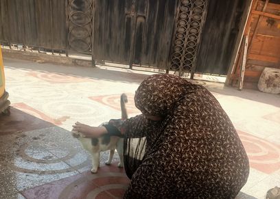 رحمة كليمة القطط