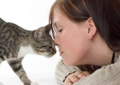 إحذر اقتناء القطط ...يعرضك للتخلف العقلي