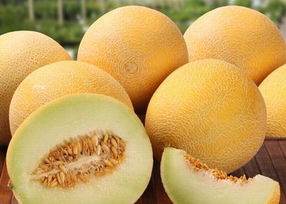 الشمام