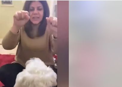 كلب شيرين أبو عاقلة