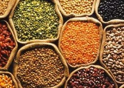 البروتينات النباتية