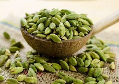 حبهان