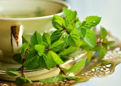 فوائد شرب النعناع.. مهدئ للأعصاب ومكافح لنزلات البرد