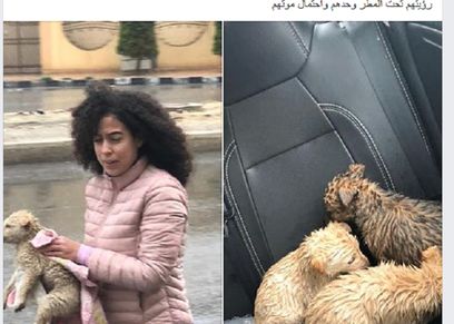 الصورة المتداولة لفتاة أنقذت 3 كلاب صغيرة