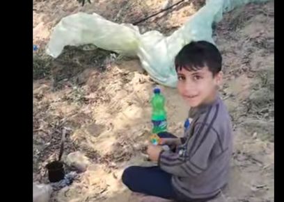 طفل فلسطيني يجمع ثمار الزيتون
