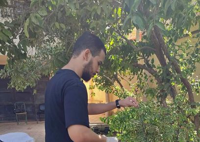 محمد محسن