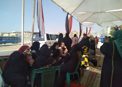 المرأة في انتخابات مجلس الشيوخ