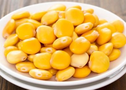 ترمس