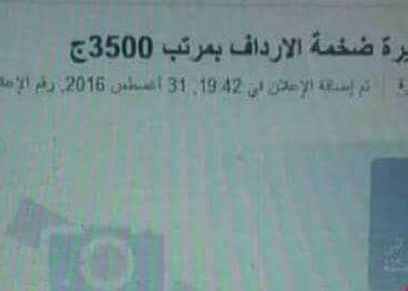 سكرتيرة ضخمة الأرداف