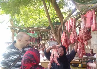 بهية