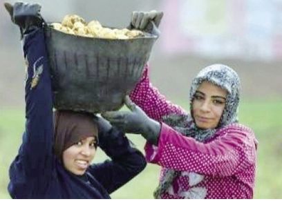 سيدات في مهام صعبة.. 
