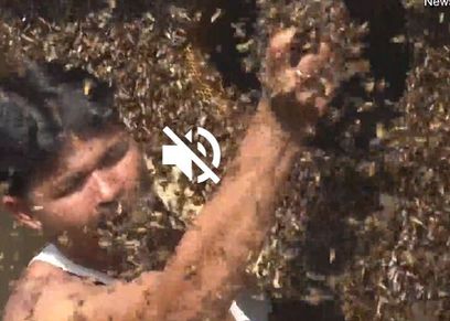 زوجان يعيشان وسط 10 ألاف نحلة