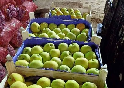 أسماء مالك تبيع الفاكهة 