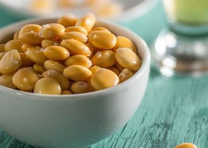فوائد الترمس